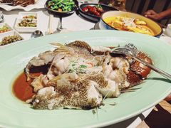 -荟廷·晶萃(陆家嘴尚悦湾店)