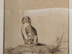 -重庆中国三峡博物馆(重庆博物馆)