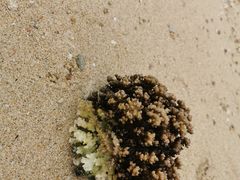 -后海村