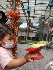 -萌宠亲子动物乐园(槐房万达店)