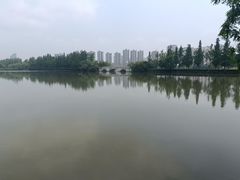 -洋湖国家湿地公园