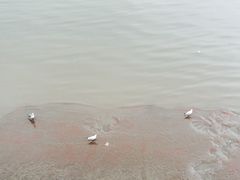 -鸭绿江断桥