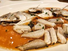 -梦都海鲜酒家(万达广场江桥店)