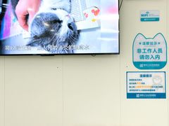 -美联众合动物医院·24h京西诊疗中心