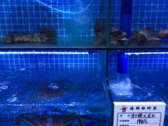 水产区-前王院•巧克力海鲜市集餐厅(万平口店)