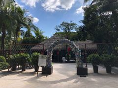 -三亚湾海居铂尔曼度假酒店