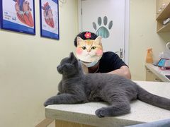 -芭比堂动物医院广州顽皮分院