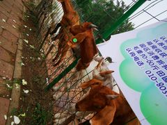 -第五季龙水凤港生态露营农场