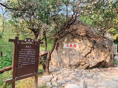 -阳台山自然风景区