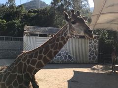 -泉州海丝野生动物世界