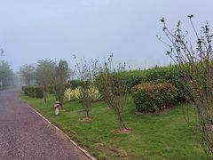 -北海金海湾红树林生态旅游区