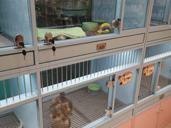 -FAELING PETS美天灵宠物(合生汇店)