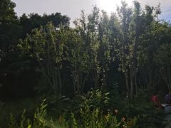 -北坞公园