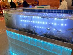 -扶摇树下·椒麻鲜活虾(石家庄勒泰广场店)