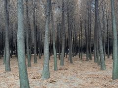 -捞渔河湿地公园