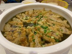-金龙渔港(双楠店)