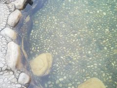 -营口金泰珑悦海景大酒店