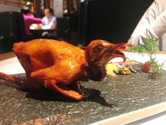 -大鸽饭(岗顶店)