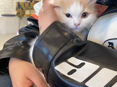 -平行世界·猫咖(首经贸店)