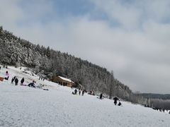 -武陵山森林公园