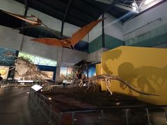 -湖南省地质博物馆