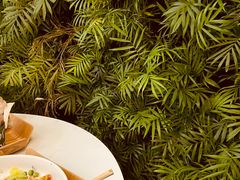 -Green Option(官舍店)