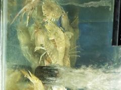 -雅逸居海鲜小厨