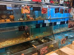 -尚竹阁冬瓜盅·18年地标美食(平洲店)