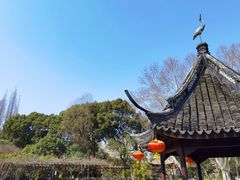 -上海醉白池公园