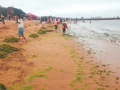 -青岛第二海水浴场