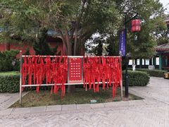 -天津妈祖文化园