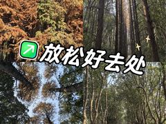 -同里国家湿地公园