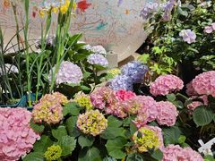 -上海长风大悦城