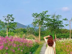-东南花都花博园