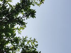 -西安世博园
