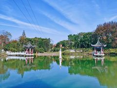 -青龙山国家森林公园