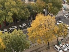 -陈记生蚝烧烤炒菜火锅