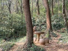 -上方山森林动物世界