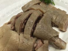 白切马冈鹅-鹅城