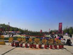 -曹州牡丹园