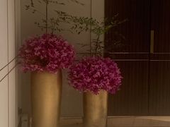 -彩丰楼·中餐厅(国家会展中心上海洲际店)