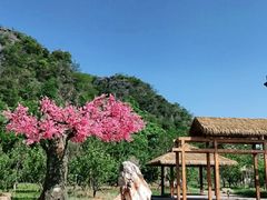-普者黑风景区-青龙山