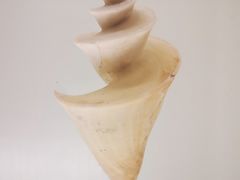 -青岛贝壳博物馆