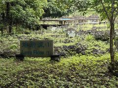-海口火山口国家地质公园