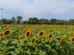 -祝甸砖窑文化馆