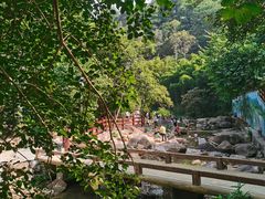 -广州白江湖森林公园