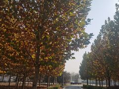 -东郊湿地公园