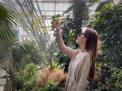 -南山植物园