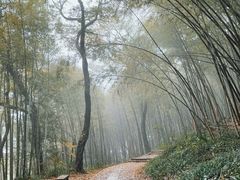 -西湖风景区十里琅珰-五云山