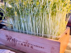 鲜菜豌豆苗-大头椰·椰子鸡火锅(南宁万象城店)